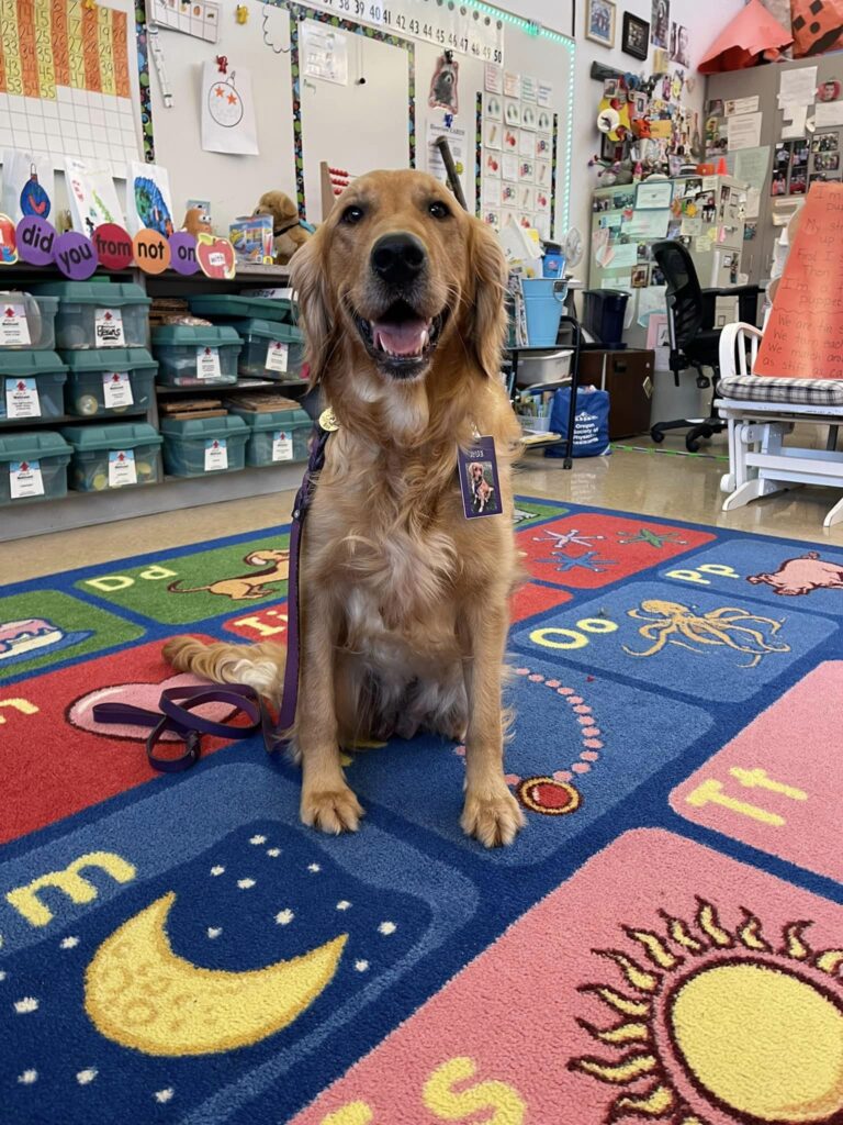 classroom therapy dog